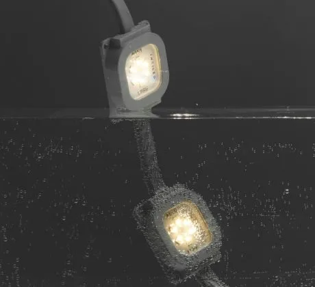 DOT